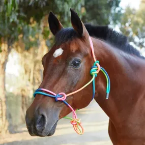 9' Rainbow Poly Lead Rope