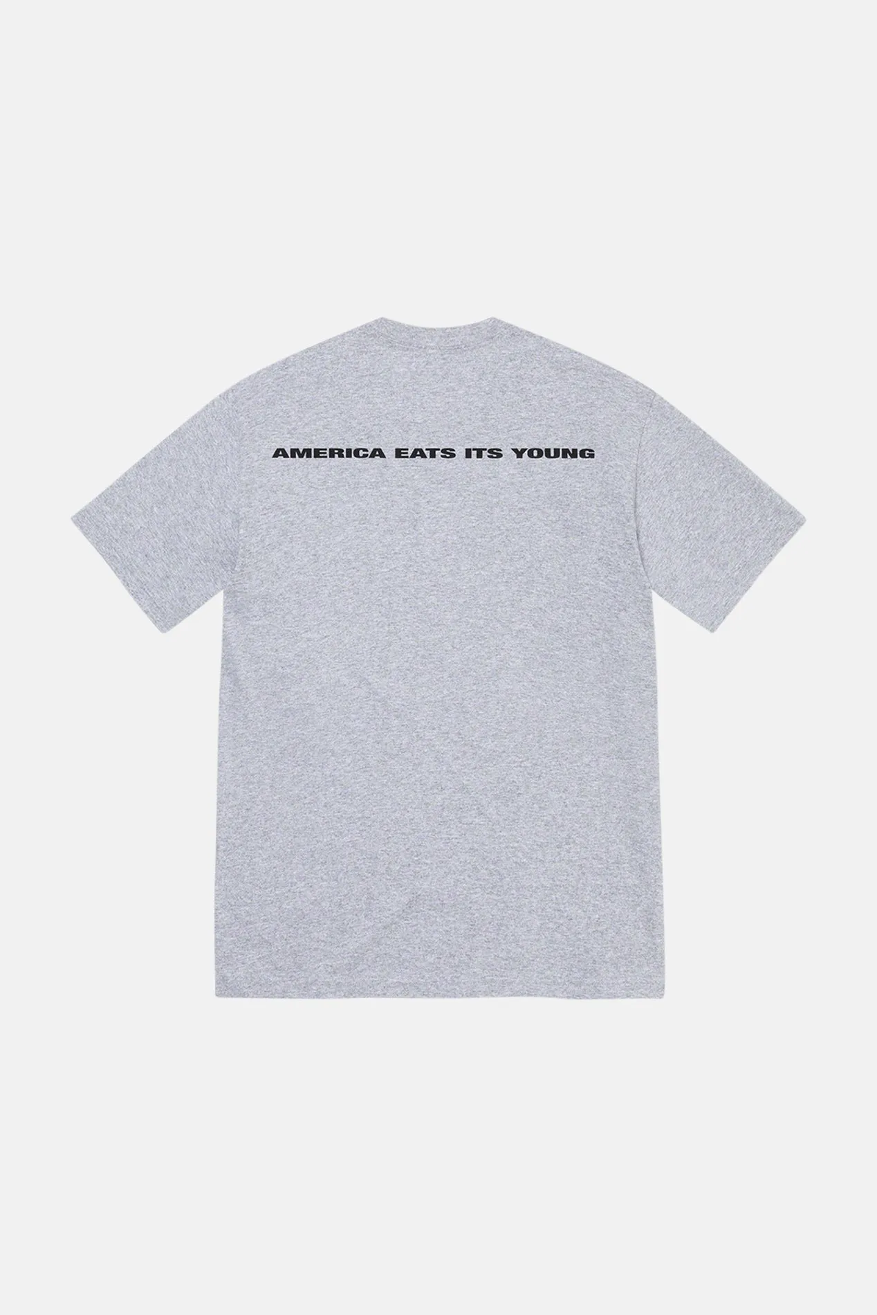 America Eats Its Young Tee Heather Grey