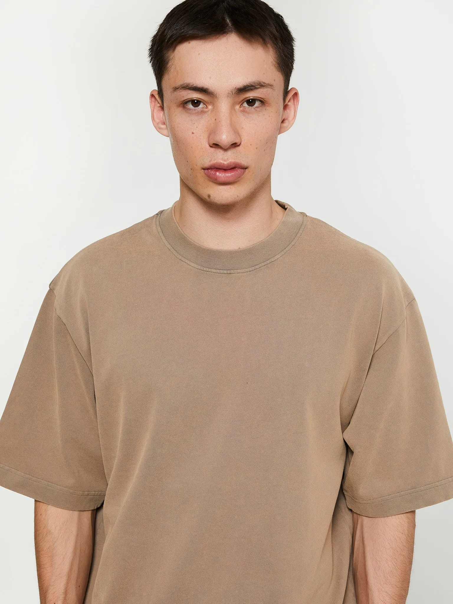 Crew Neck T-Shirt in Taupe Brown