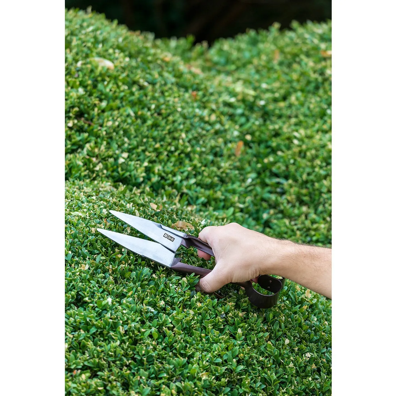 Topiary Shear - National Trust