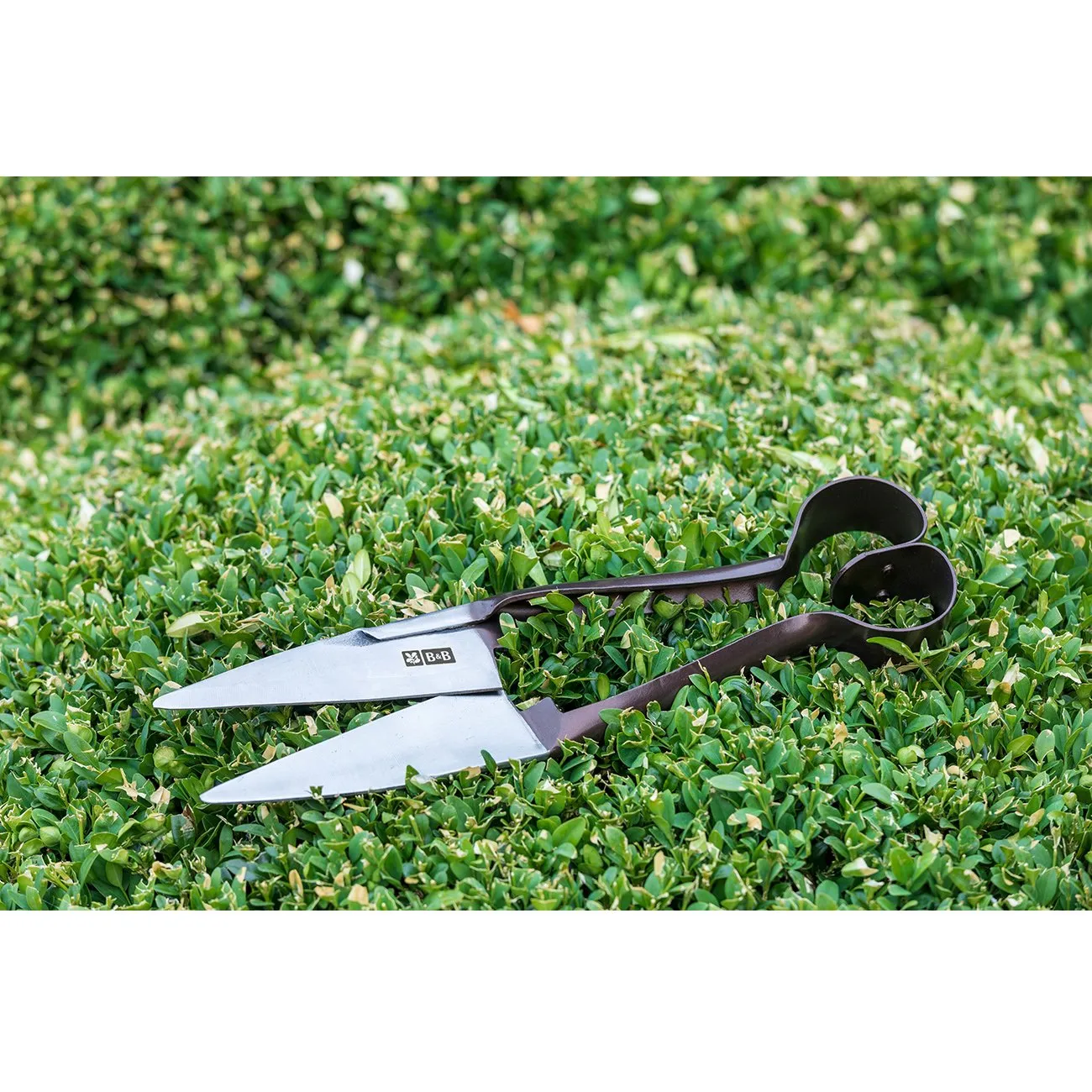 Topiary Shear - National Trust